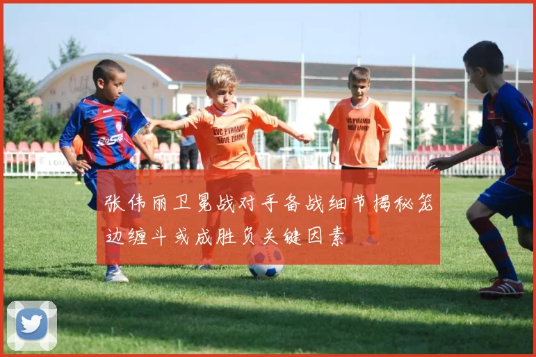 张伟丽卫冕战对手备战细节揭秘笼边缠斗或成胜负关键因素