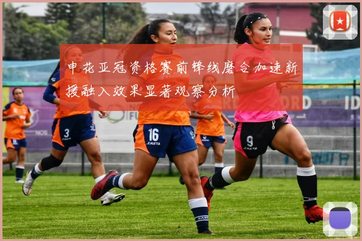 申花亚冠资格赛前锋线磨合加速新援融入效果显著观察分析
