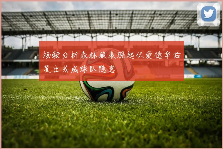 杨毅分析森林狼表现起伏爱德华兹复出或成球队隐患
