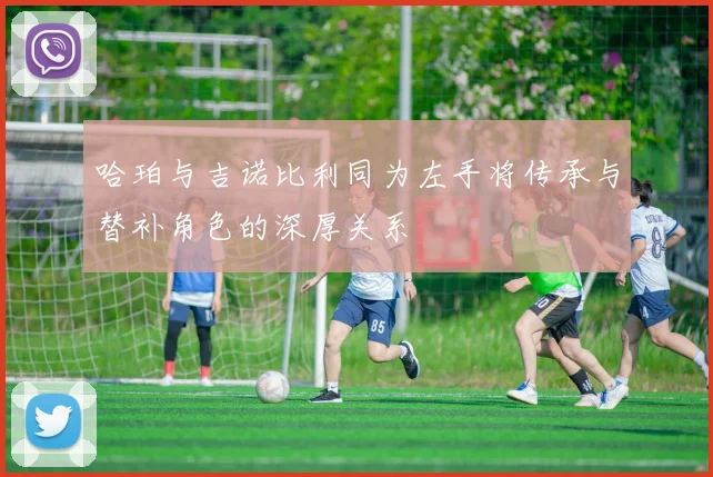 哈珀与吉诺比利同为左手将传承与替补角色的深厚关系